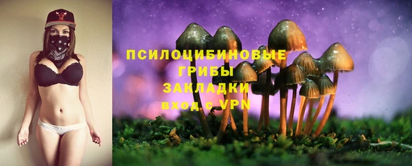 дурь Волосово