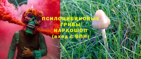 дурь Волосово