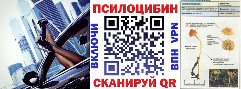 Псилоцибиновые грибы Psilocybe хочу наркоту Пикалёво