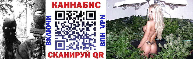 где продают наркотики  Пикалёво  кракен ТОР  Канабис MAZAR 
